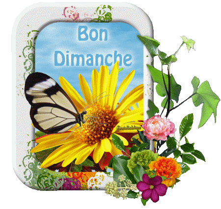 dimanche 10 mars 97400610