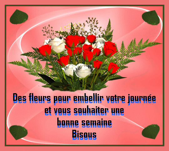 LUNDI 11 MARS 2019 Belle_11