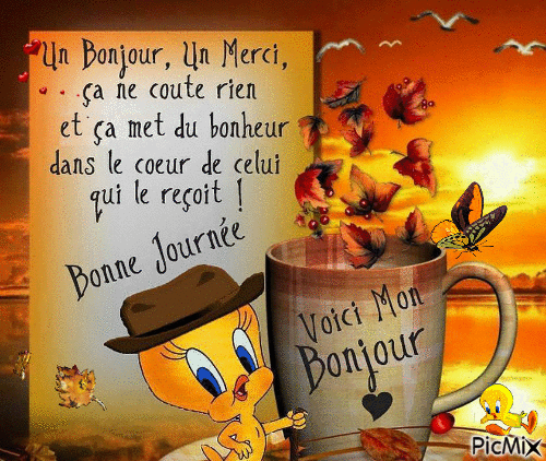 mercredi 21 novembre Bonjou10