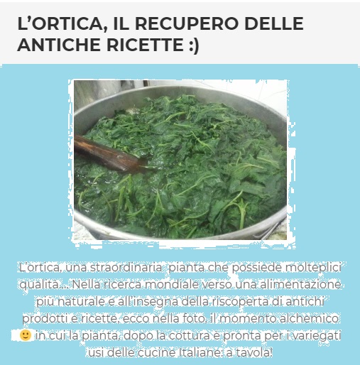 Bacco tabacco & triclinio > - Pagina 13 Ortica10