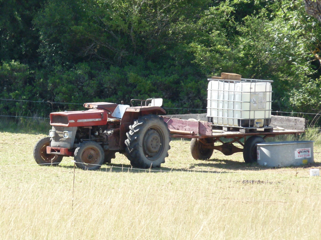 Tracteurs agricoles anciens  - Page 14 Cami5156