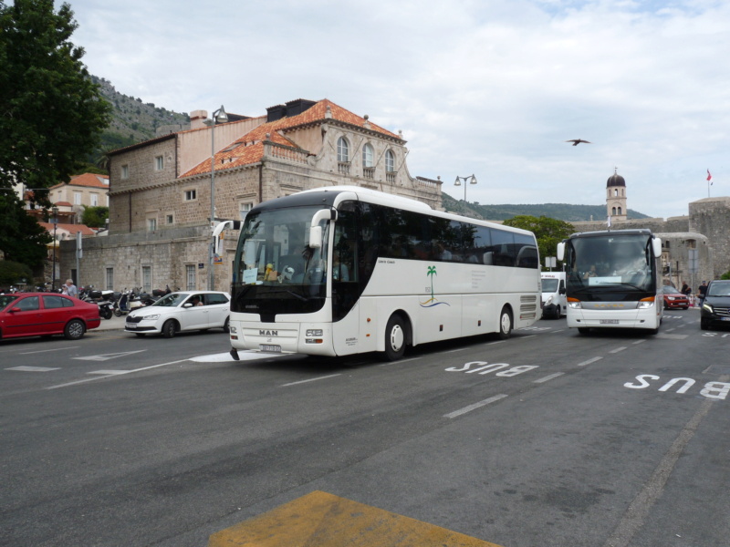 Divers cars et bus croates (HR) - Page 3 Croat671