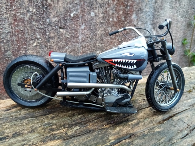 Harley Electra custom Img_2159