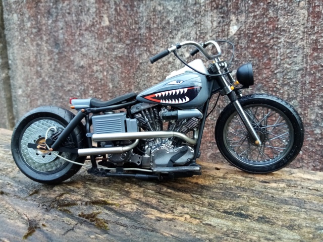 Harley Electra custom Img_2161