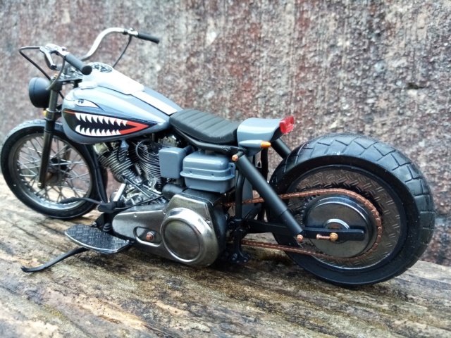 Harley Electra custom Img_2163