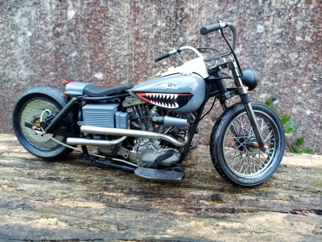 Harley Electra custom Img_2164