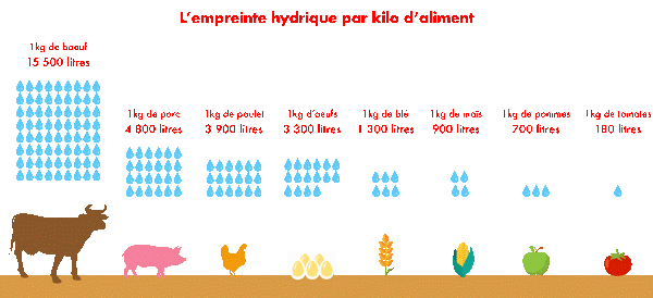 Peut-on être végétarien et en bonne santé ? Emprei10