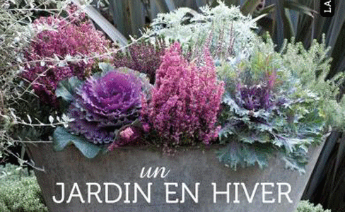 Jardiner en hiver ? Ce qu'il y a à faire au jardin ! Jardin11