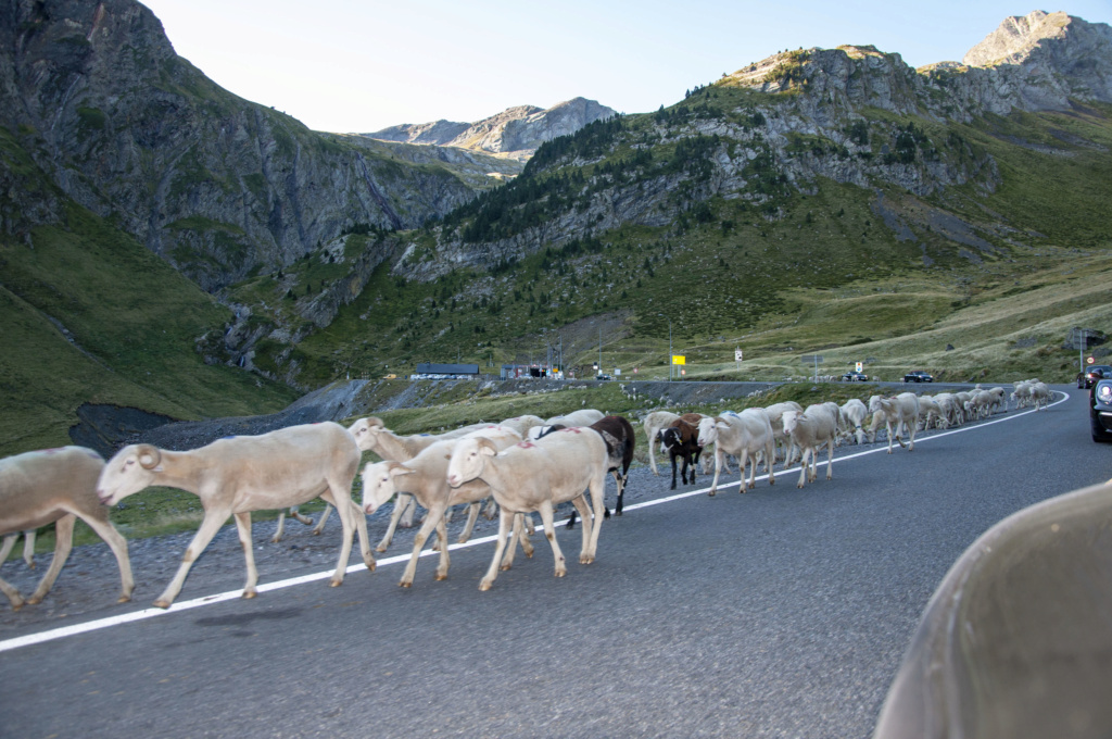 Weekend - Les Pyrénées Orientale Aragonaises - 7/8 Septembre - Page 2 _dsc0110