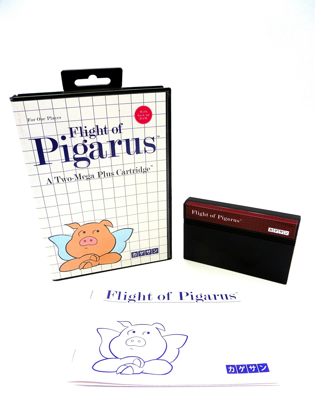 Flight of Pigarus 2020-017