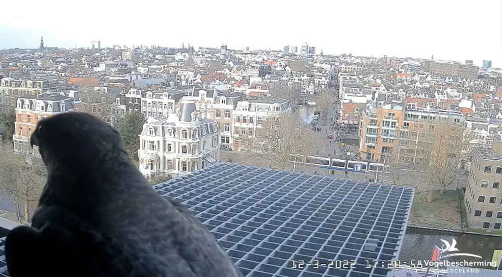 Amsterdam/Rijksmuseum screenshots © Beleef de Lente/Vogelbescherming Nederland - Pagina 2 2022-380