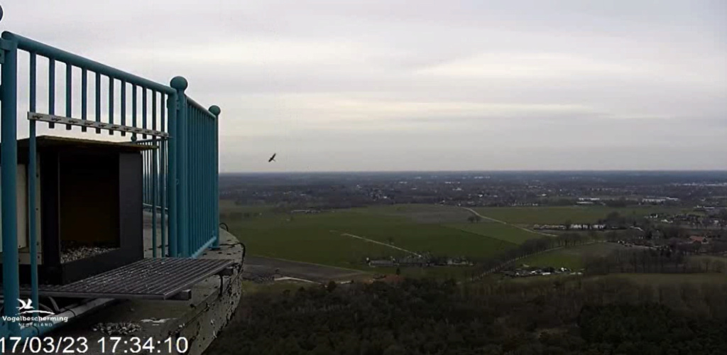 screenshots va 2 maart 2023 © VWGGemert/Vogelbescherming Nederland - Pagina 18 2023-813
