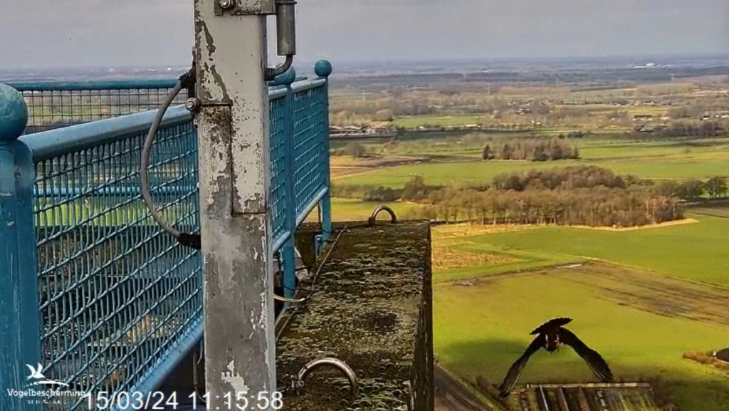 screenshots VWGGemert/Vogelbescherming Nederland. - Pagina 9 2024-935