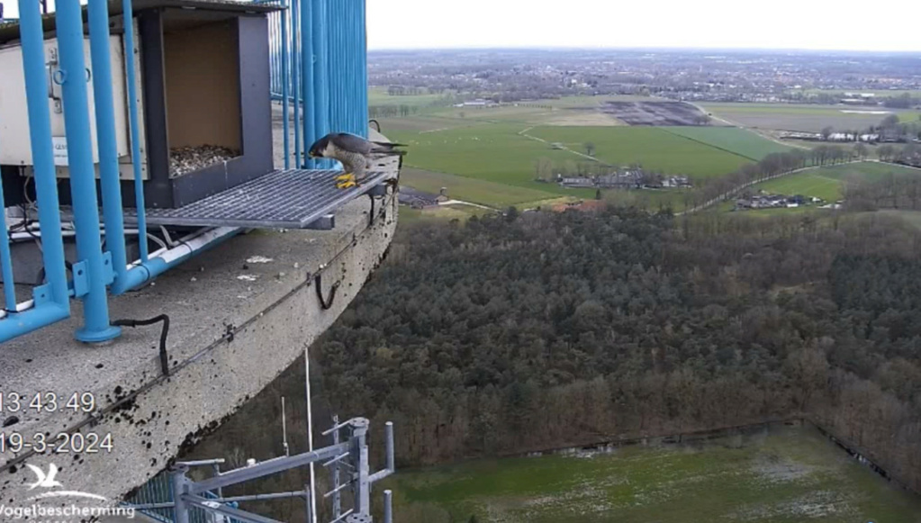 screenshots VWGGemert/Vogelbescherming Nederland. - Pagina 15 20241057