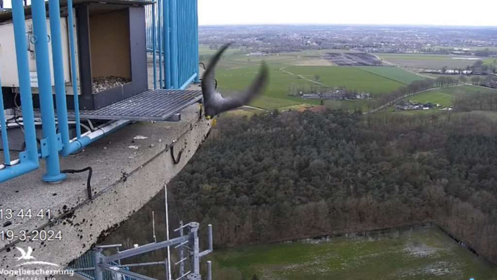 screenshots VWGGemert/Vogelbescherming Nederland. - Pagina 15 20241059