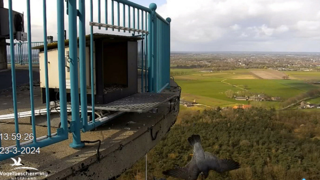 screenshots VWGGemert/Vogelbescherming Nederland. - Pagina 23 20241232