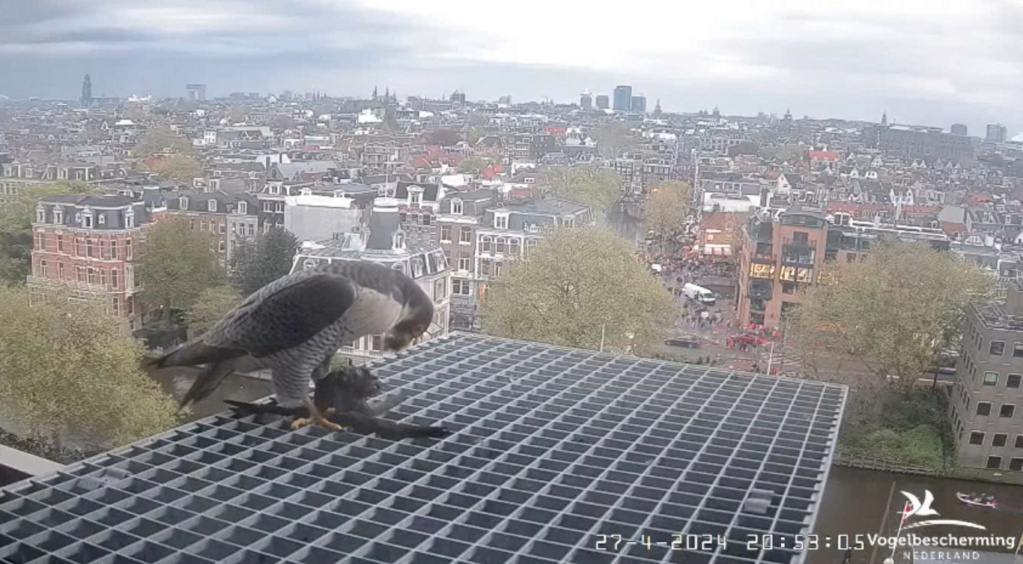 Amsterdam/Rijksmuseum screenshots © Beleef de Lente/Vogelbescherming Nederland - Pagina 19 20242389