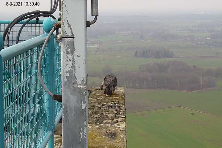 Campics vanaf start Beleef de Lente © VWGGemert/VBN - Pagina 9 Cam_1_14