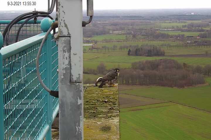 Campics vanaf start Beleef de Lente © VWGGemert/VBN - Pagina 10 Cam_1_22