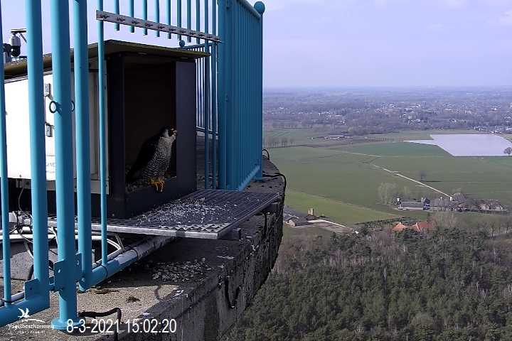 Campics vanaf start Beleef de Lente © VWGGemert/VBN - Pagina 9 Cam_2_17