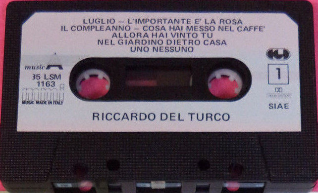 RICCARDO DEL TURCO - Biografia, Discografia, Canzoni, Video, Testi