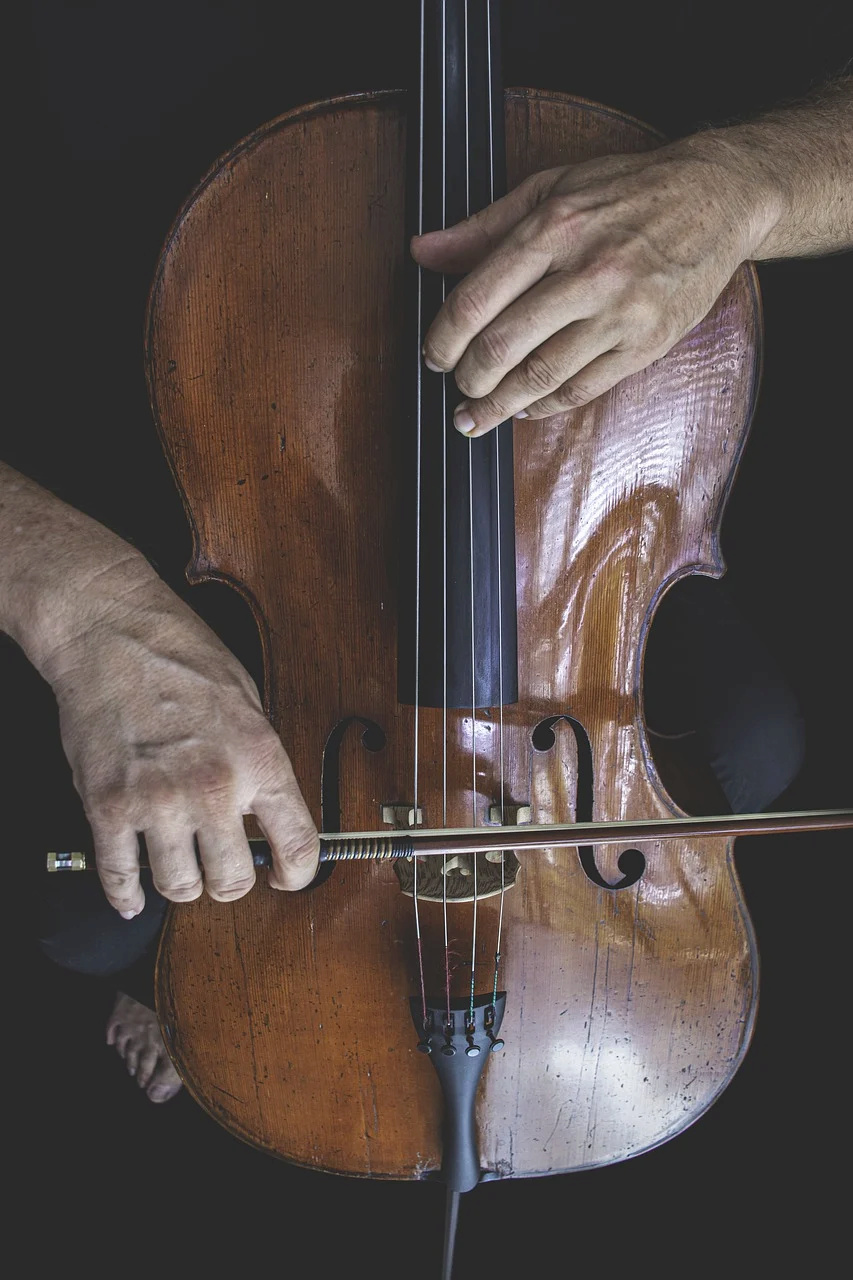 Rubys neues Ava Shöppchen (Bildbearbeitung) Cello-10