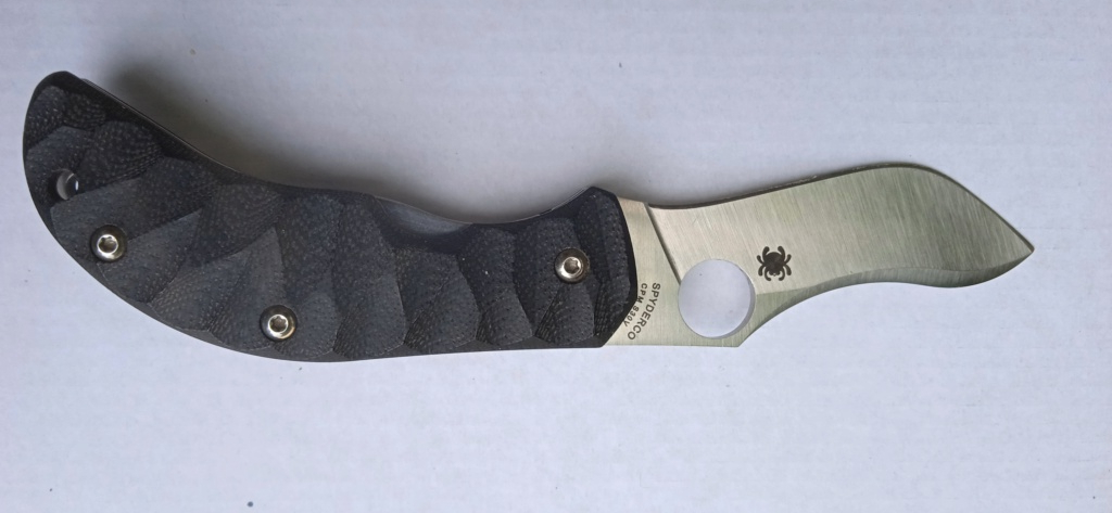 Spyderco - Page 6 Img_2071