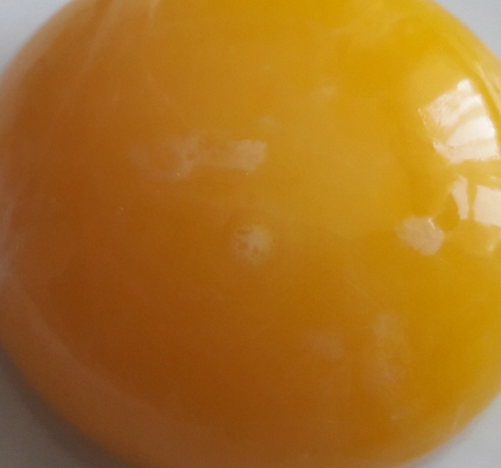 Помогите определить оплодотворенное яйцо или нет 20180610