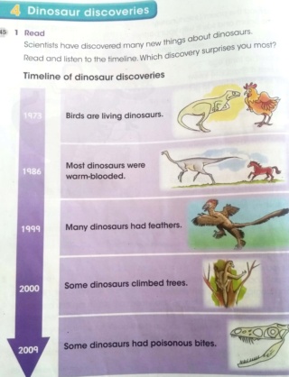 Dinosaur discoveries Img-2095