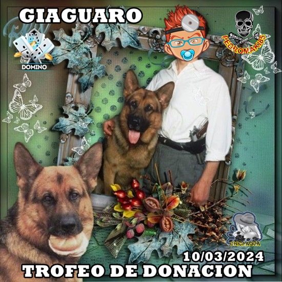 TROFEOS DE DONACION DIA10/03/2024 Donaci11