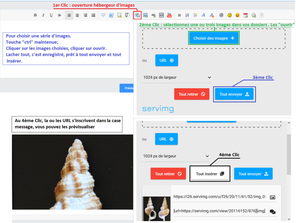 Tutoriel pour mettre des images (ou photos) sur le forum 0110