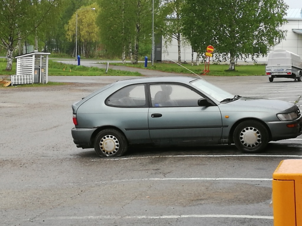 The "Green Panda" Hatchback Img_2013