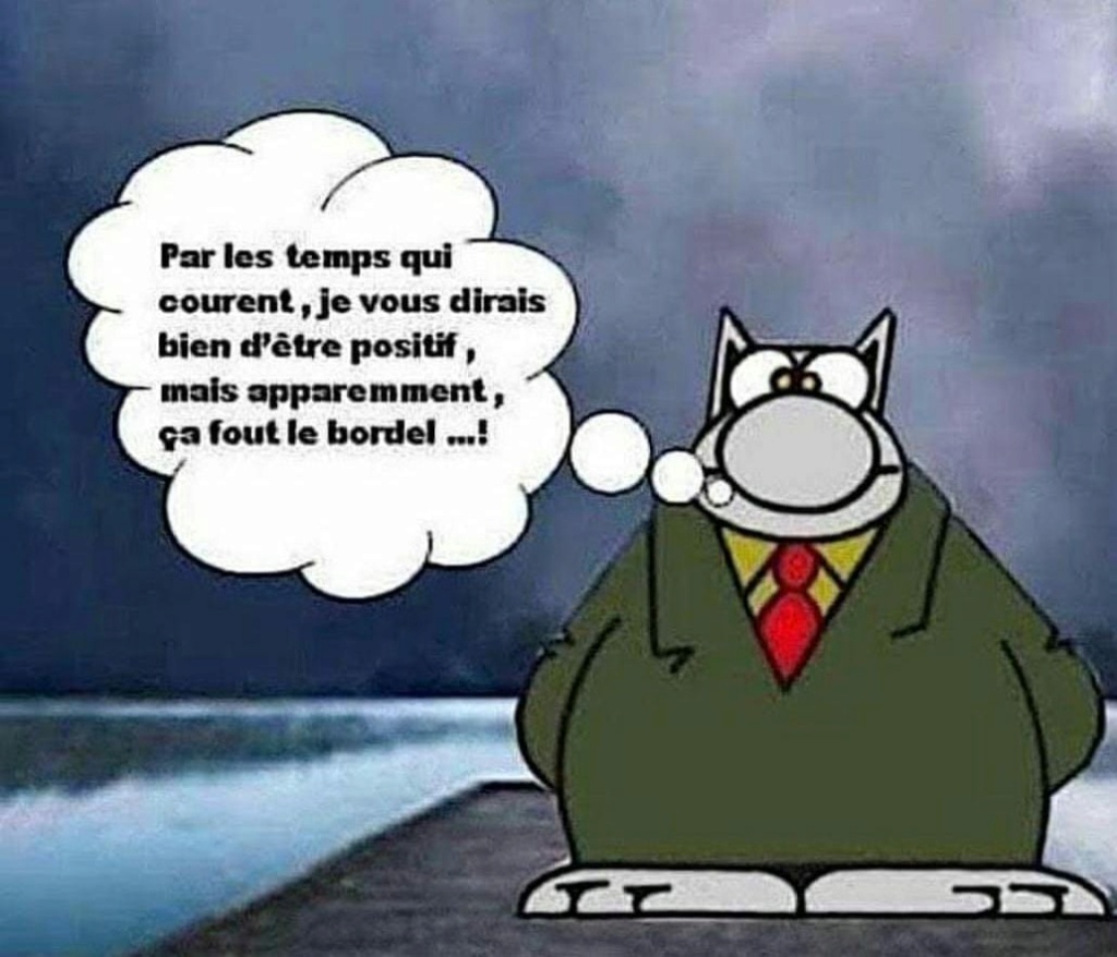 Humour... - Page 22 Chat_p10