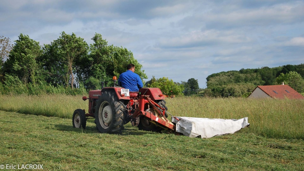 tout sur le foin : coupe, séchage, pressage, stockage... - Page 4 Foin_210