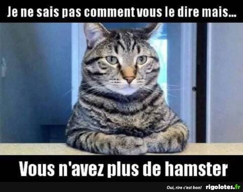 Humour Noir