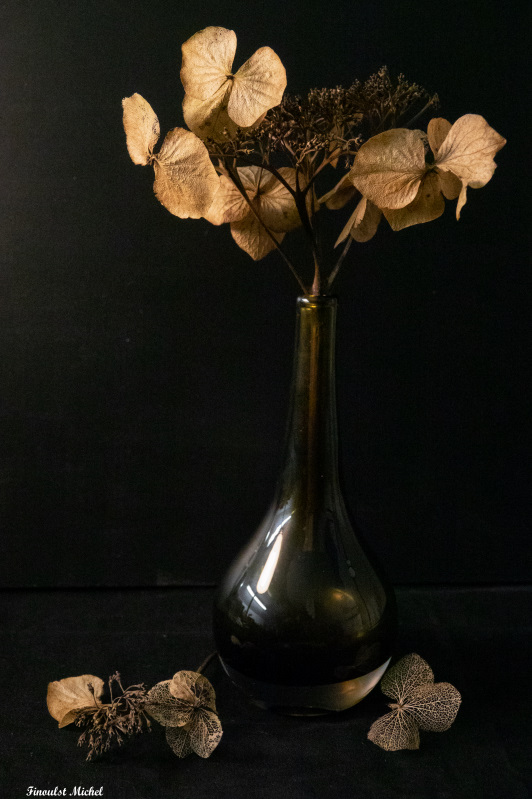 Bouquet de dahlias fané Dsc00011