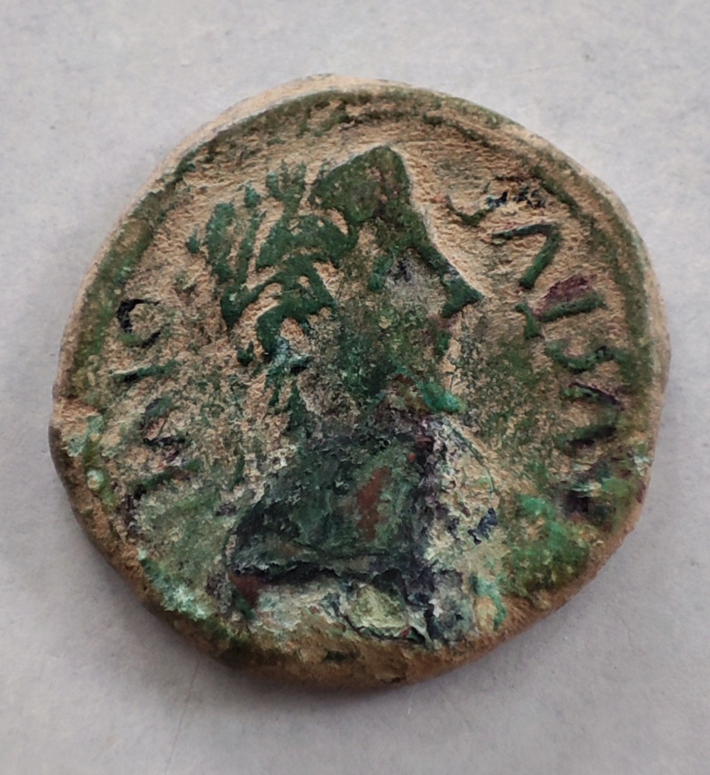 Semis de Caesaraugusta, época de Augusto. CAESAR AVGVSTA - M PORCI CN FAD / II VIR. Vexilo. 16444911