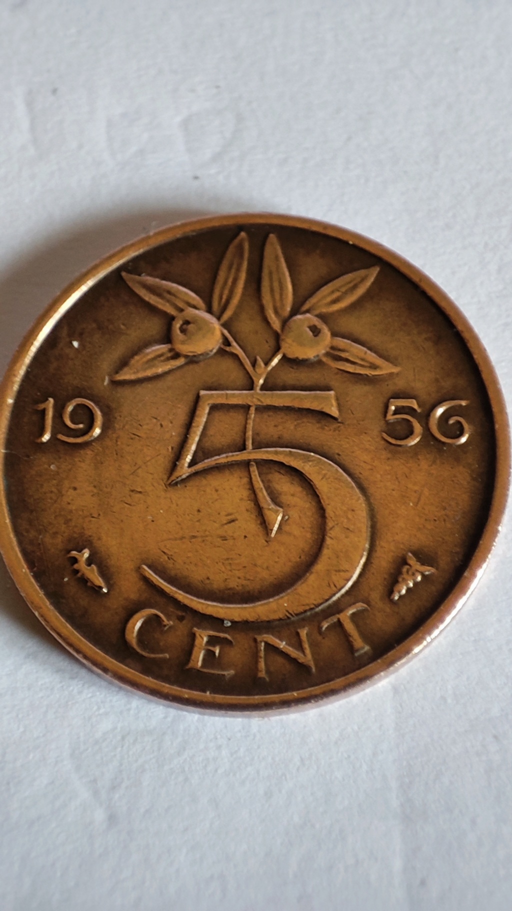 Países Bajos 5 centavos 1956 16482011