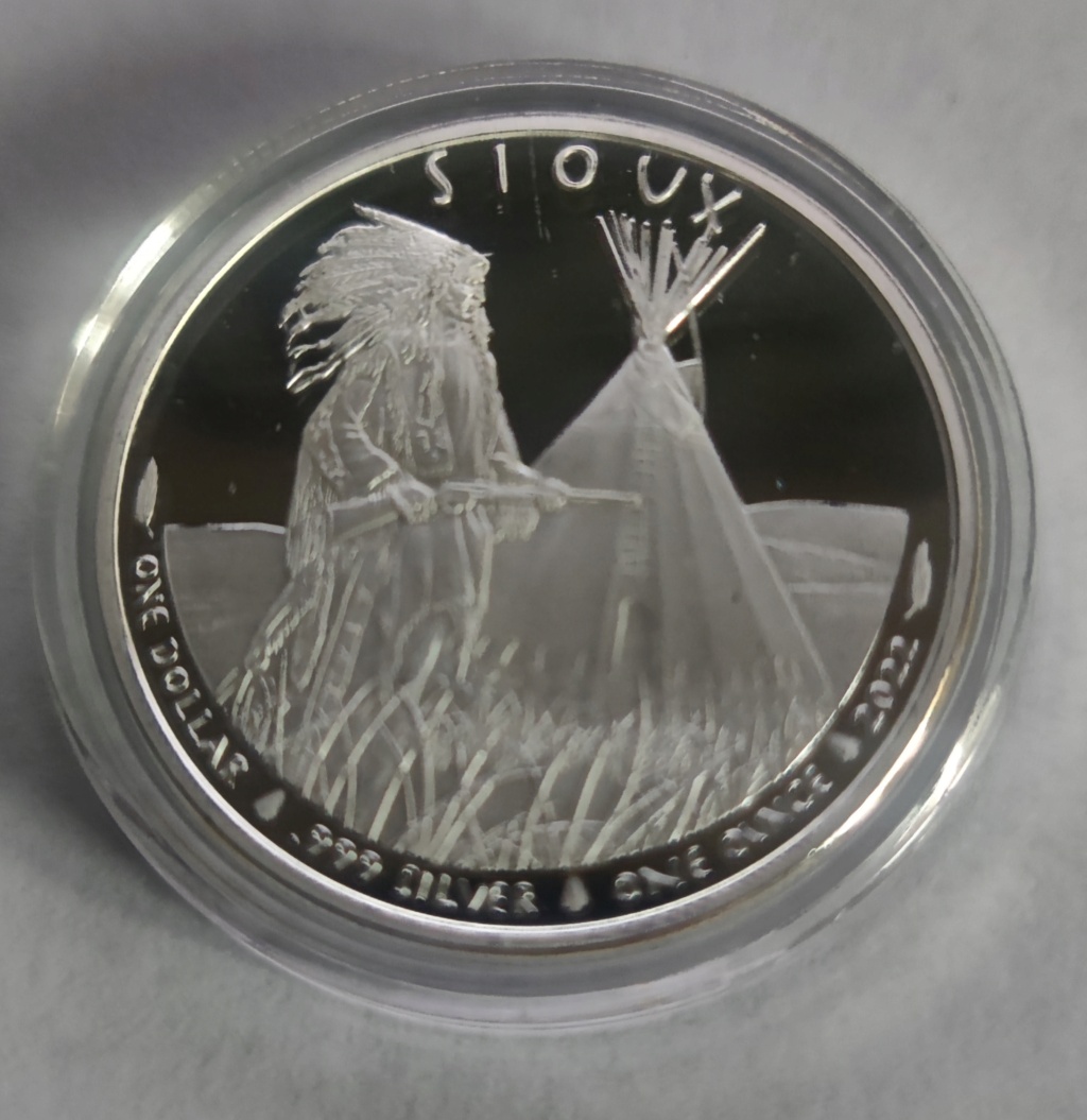 Moneda de Plata Sioux Jefe Indio Guardián 2022  16685310