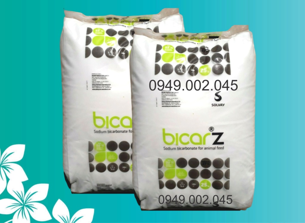 BICAR Z: Sodium bicarbonate giúp tăng kiềm, ổn định môi trường nước Bicar_11