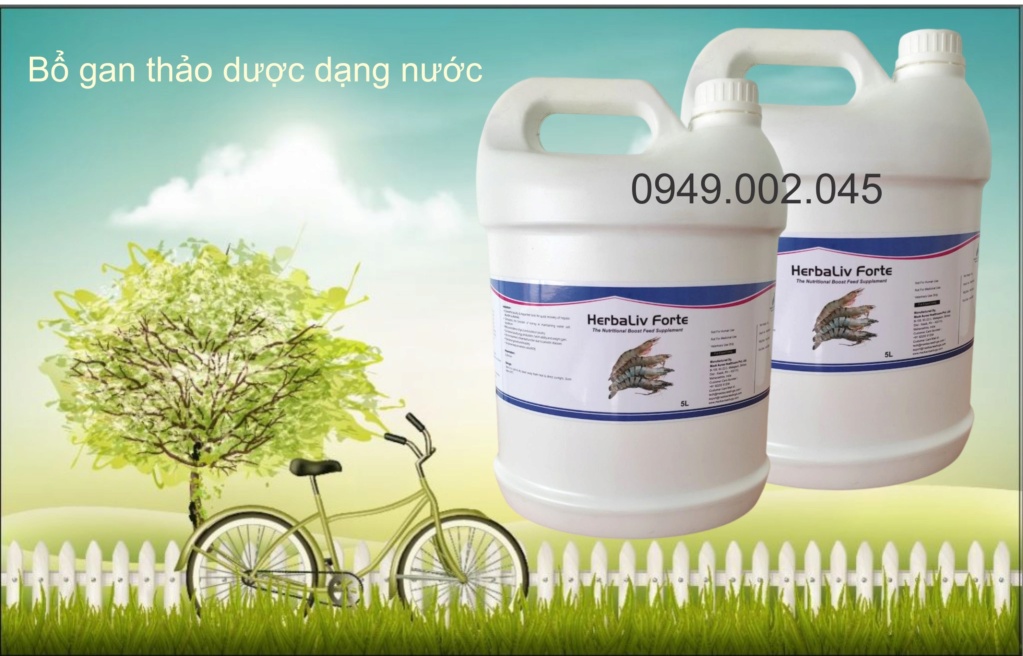Herbaliv Forte - Bổ gan dạng nước cho thủy sản Herbal11