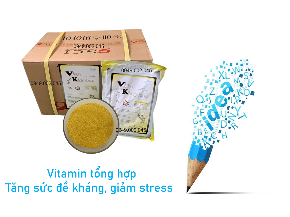 Vita Kingdom - Vitamin tổng hợp giúp tăng sức đề kháng vật nuôi Vita_k11