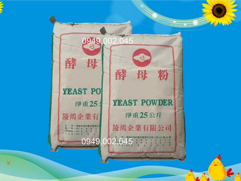 YEAST POWDER - Đạm dinh dưỡng giúp nong to đường ruột tôm Yeast_11