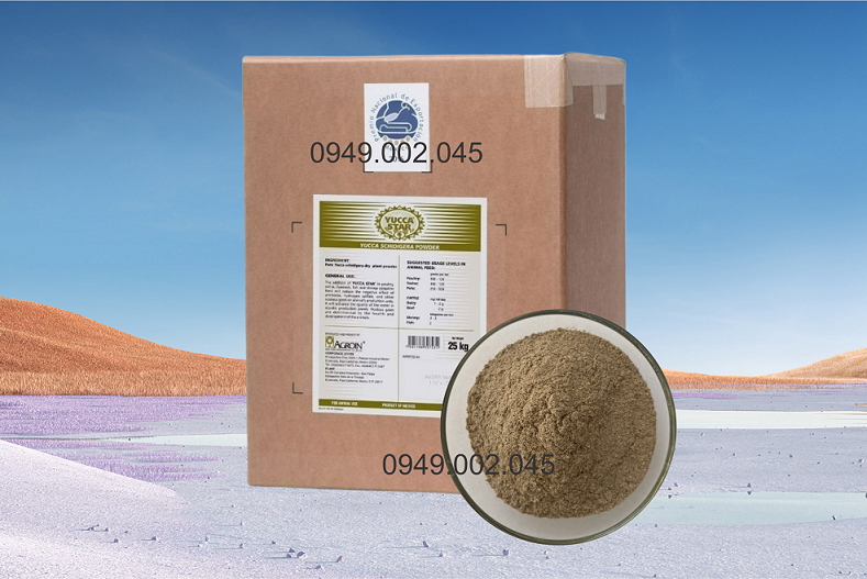 Yucca Star Powder - Yucca bột nguyên liệu Mexico giúp hấp khí độc ao nuôi Yucca_12