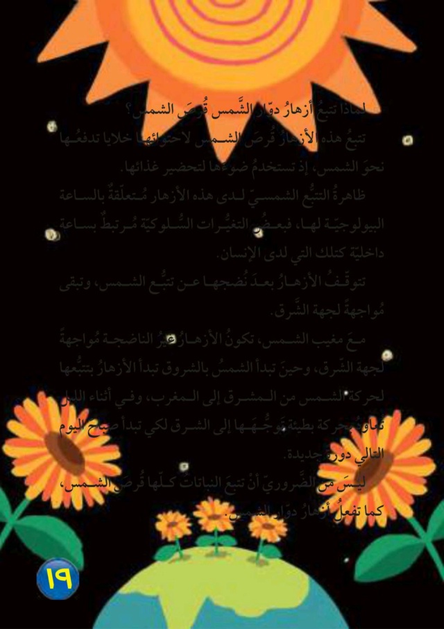 أزهار دوار الشمس - صفحة 2 Image271