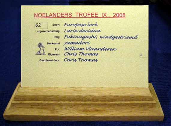 Some photographs of Noelanders 2008, Exposition in Belgium Larix-10
