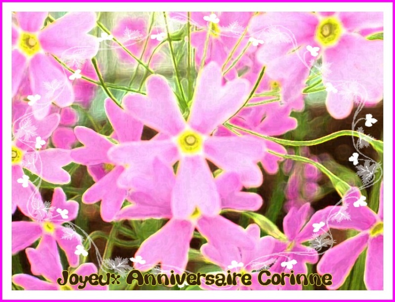 Bon anniversaire Corine Couette Corinn10