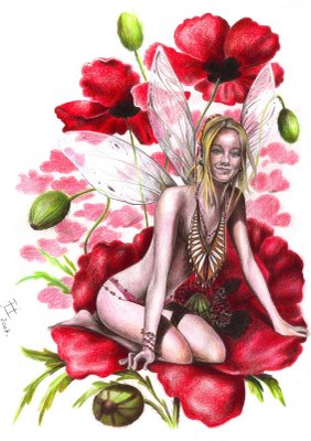 Bon Anniversaire Coquelicot Bon Anniversaire Coquelicot