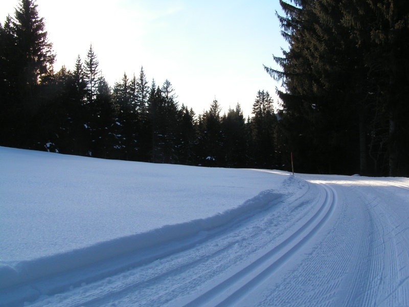 promenade a barboleuse Barlbo14