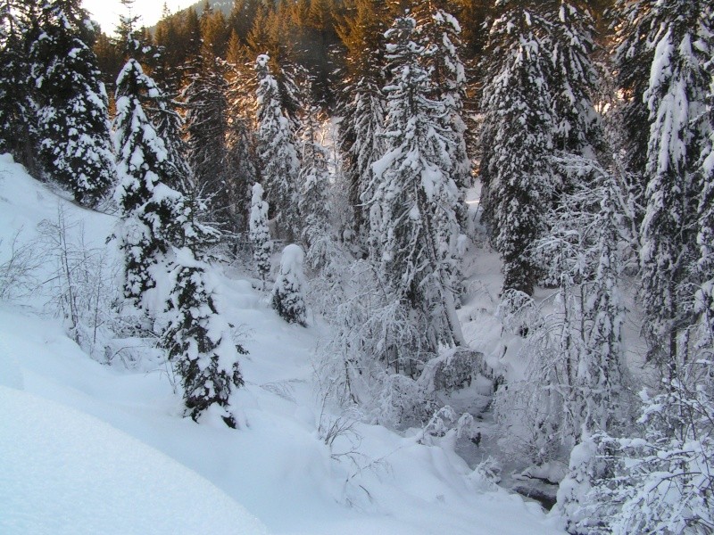 promenade a barboleuse Barlbo19